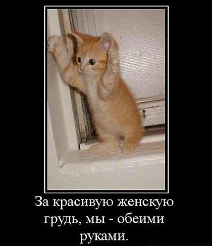 За красивую женскую грудь, мы - объеими руками.