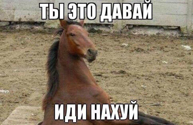 ТЫ ЭТО ДАВАЙ ИДИ НАХУЙ