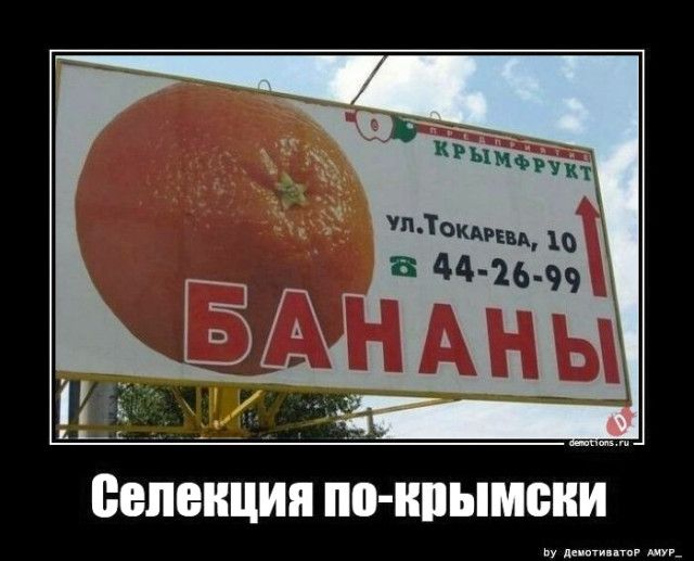 Селекция по-крымски
БАНАНЫ
ул. Токарева, 10
44-26-99