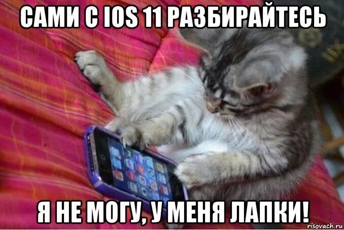 САМИ С IOS 11 РАЗБИРАЙТЕСЬ Я НЕ МОГУ, У МЕНЯ ЛАПКИ!