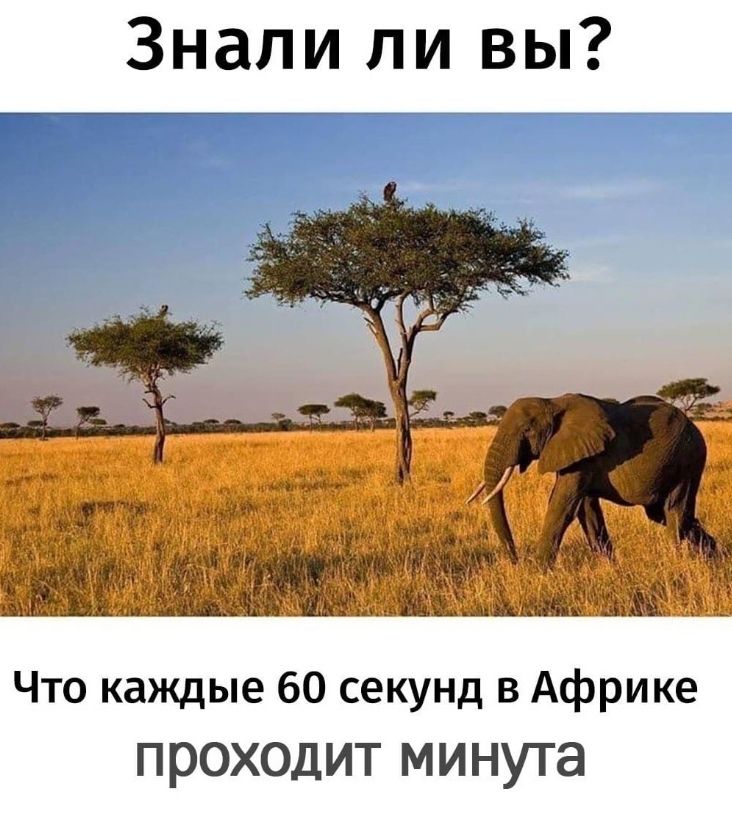 Знали ли вы? Что каждые 60 секунд в Африке проходит минута