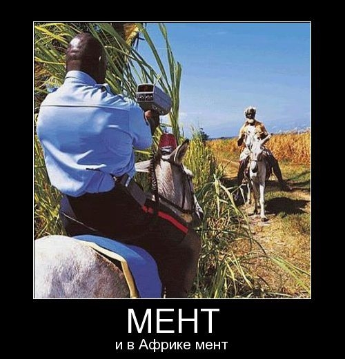 МЕНТ
и в Африке мент