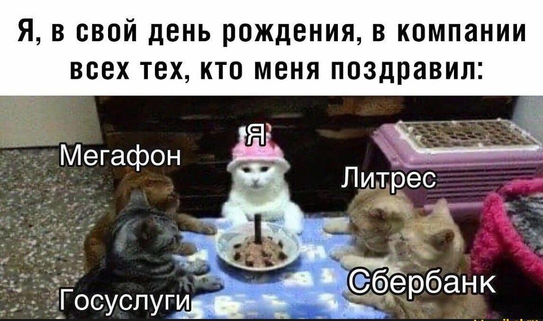 Я, в свой день рождения, в компании всех тех, кто меня поздравил:

Мегафон
Я
Литрес
Сбербанк
Госуслуги