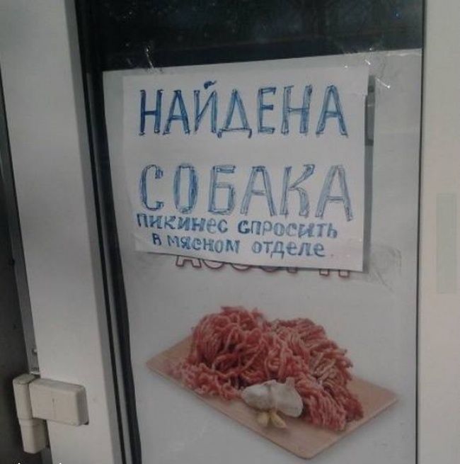 Найдена собака
пикнись спросить в мясном отделе