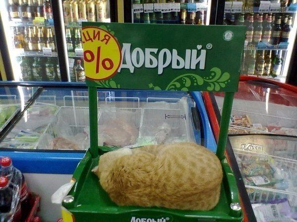 Добрый