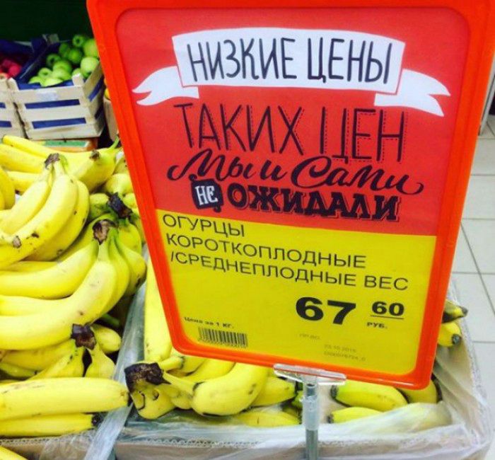 НИЗКИЕ ЦЕНЫ
ТАКИХ ЦЕН
Мы и Сами
НЕ ОЖИДАЛИ
ОГУРЦЫ
Короткоплодные
Среднеплодные
ВЕС
67 60
руб.