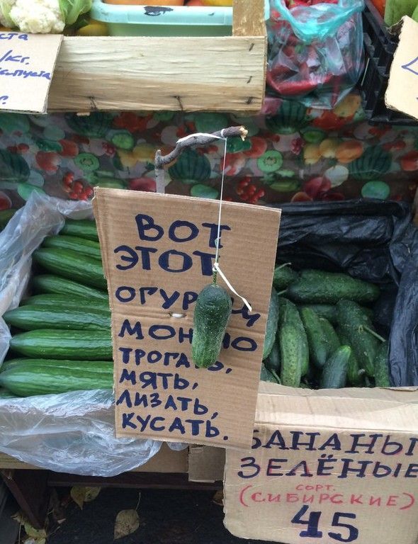 ВОТ ЭТОТ ОГУРЕЦ МОЖНО ТРОГАТЬ, МЯТЬ, ЛИЗАТЬ, КУСАТЬ.