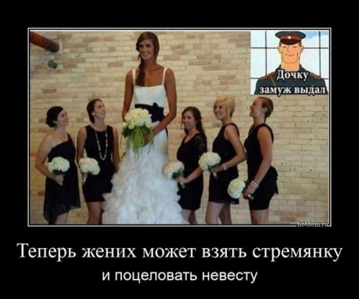 Теперь жених может взять стремянку и поцеловать невесту.