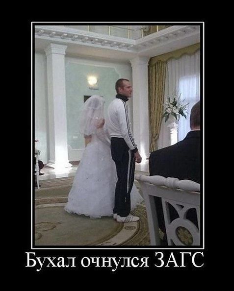 Бухал очнулся ЗАГС