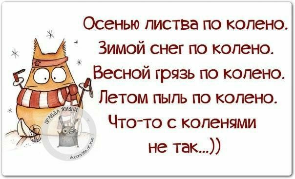 Осенью листва по колену.
Зимой снег по колену.
Весной грязь по колену.
Летом пыль по колену.
Что-то с коленями не так...))