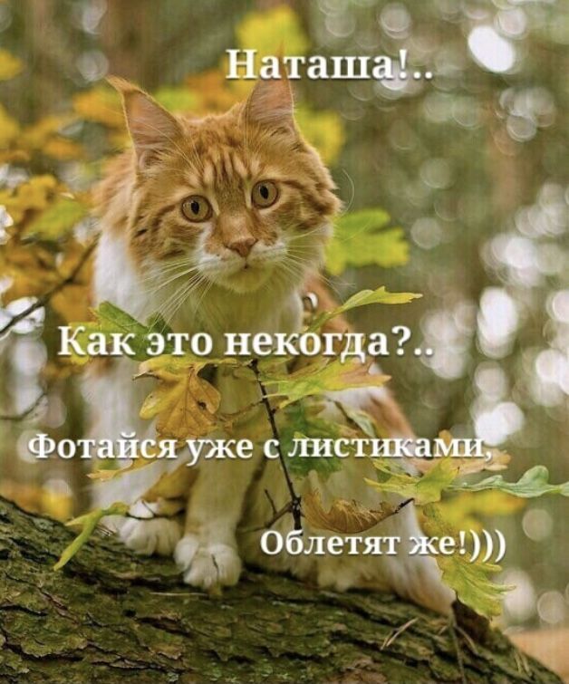 Наташа!.. Как это некогда?.. Фотайся уже с листиками, облетят же!)))