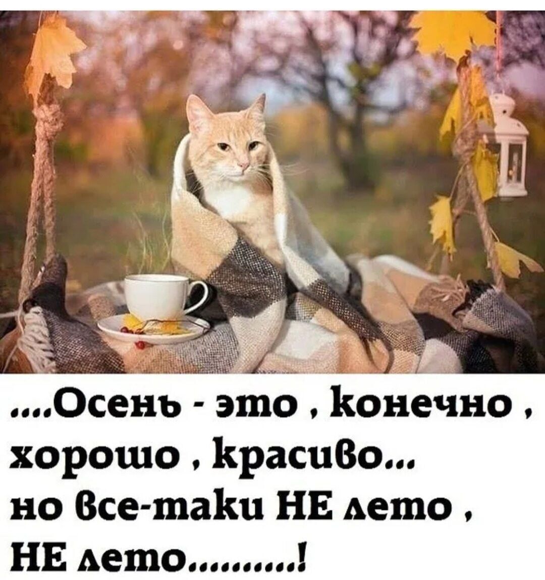 ....Осень - это , конечно , хорошо , красиво... но всё-таки НЕ лето , НЕ лето..........!