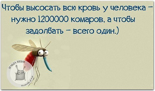 Чтобы высосать всю кровь у человека – нужно 1200000 комаров, а чтобы задолбать – всего один.)
