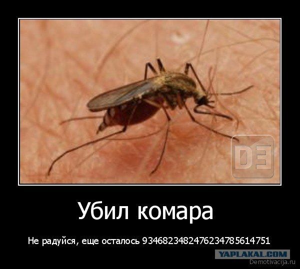 Убил комара
Не радуйся, еще осталось 93468323482476234785614751.