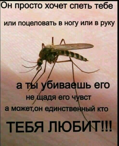Он просто хочет спеть тебе
или поцеловать в ногу или в руку
а ты убиваешь его
не щадя его чувств
а может, он единственный кто
ТЕБЯ ЛЮБИТ!!!