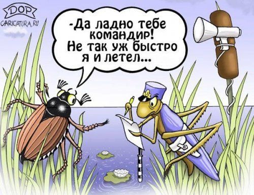 - Да ладно тебе командир! Не так уж быстро я и летел...