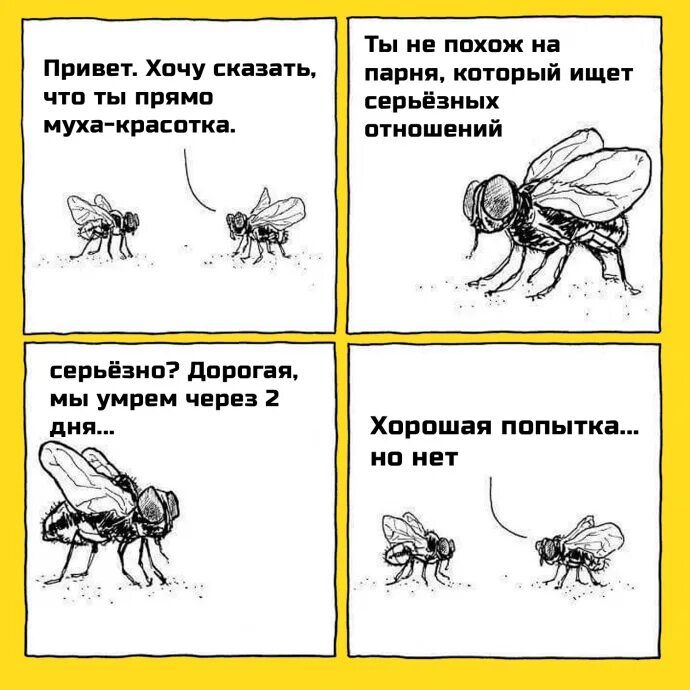 Привет. Хочу сказать, что ты прямо муха-красотка.
Ты не похож на парня, который ищет серьёзных отношений.
Серьёзно? Дорогая, мы умрём через 2 дня...
Хорошая попытка... но нет.