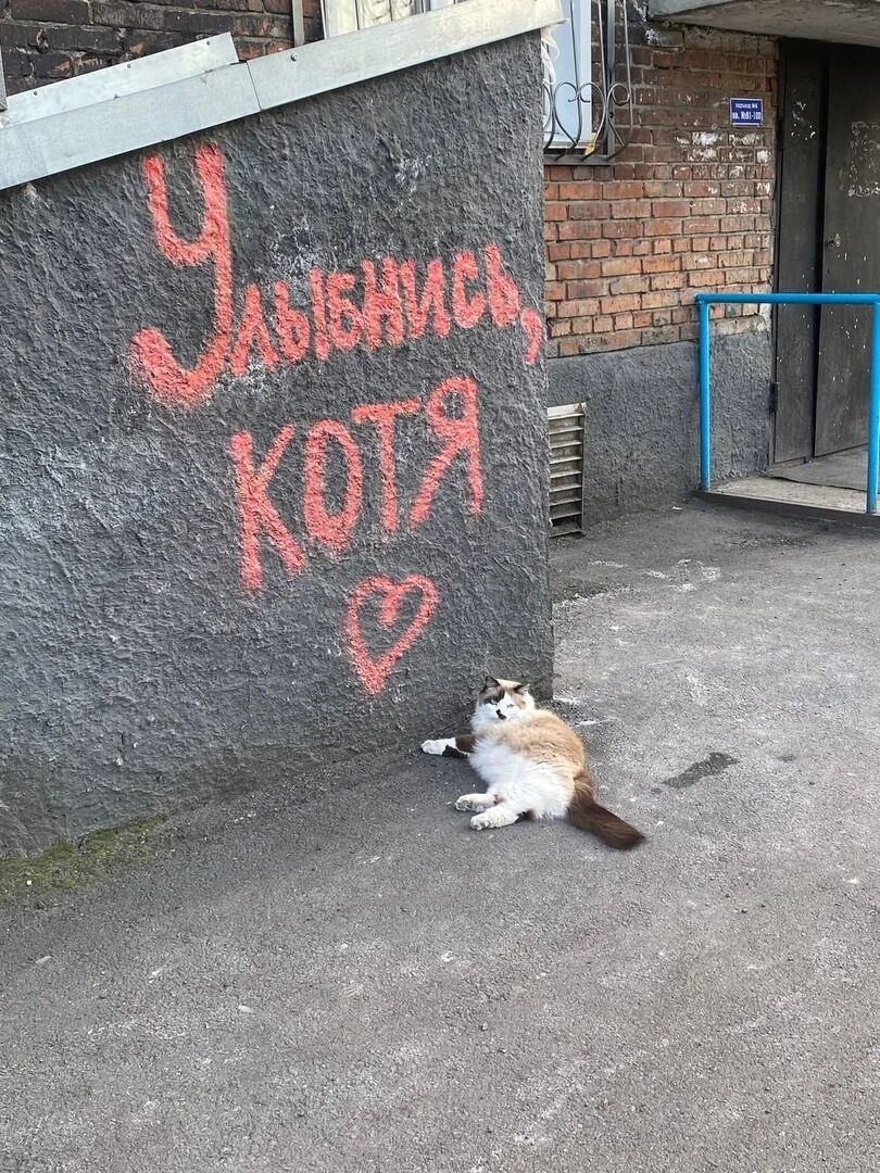 Улыбнись, котя ❤️