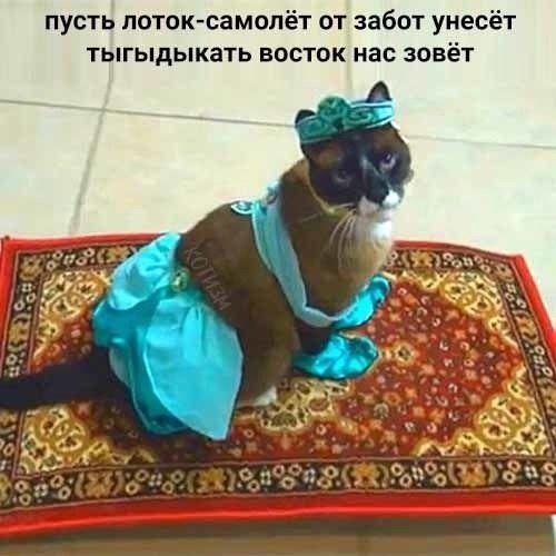 пускай лоток-самолёт от забот унесёт тыгыдыкать восток нас зовёт