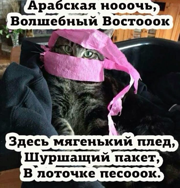 Арабская нооочь, Волшебный Востооок
Здесь мягенький плед, Шуршащий пакет, В лоточке песооок.