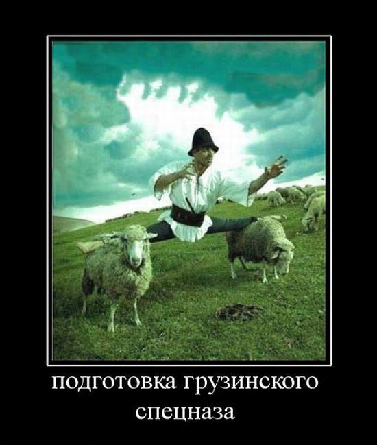 подготовка грузинского спецназа