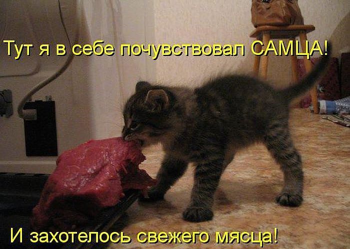 Тут я в себе почувствовал САМЦА! И захотелось свежего мяса!