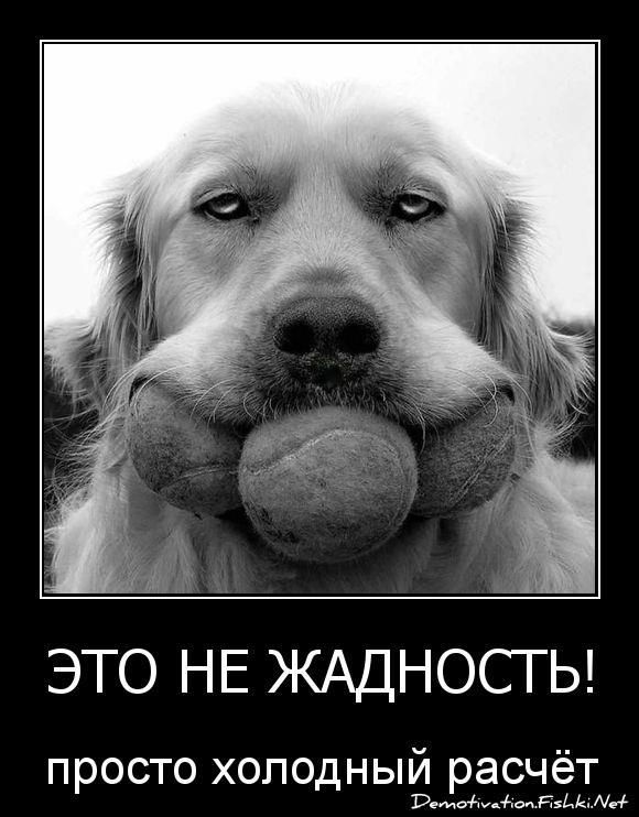 ЭТО НЕ ЖАДНОСТЬ! просто холодный расчёт