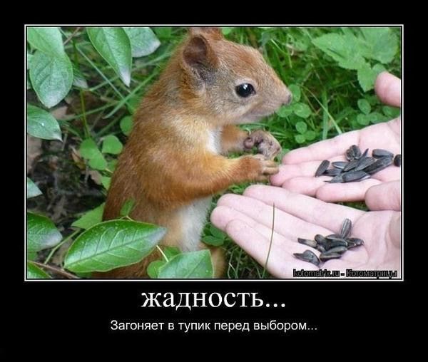 жадность...

Загоняет в тупик перед выбором...