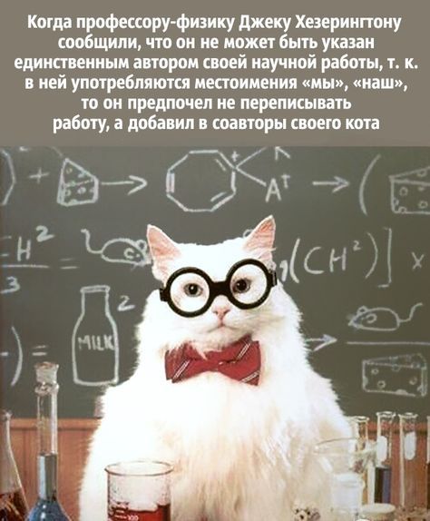Когда профессору-физику Джеку Хезерингтонсообщили, что он не может быть указан единственным автором своей научной работы, т. к. в ней употребляются местоимения «мы», «наш», то он предпочёл не переписывать работу, а добавил в соавторы своего кота