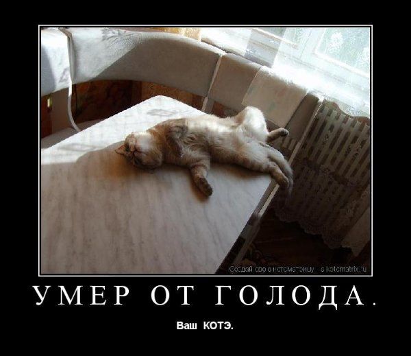 УМЕР ОТ ГОЛОДА.
Ваш КОТЭ.