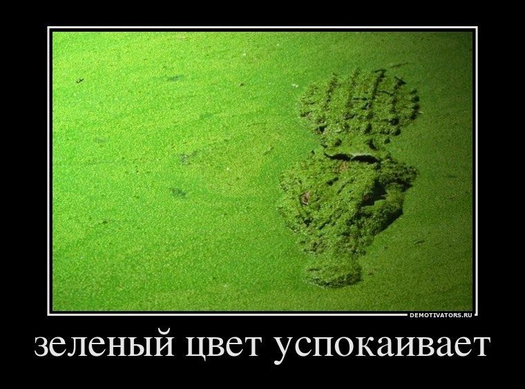 зелёный цвет успокаивает