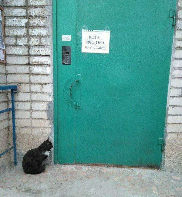Кота Федора не пускать!