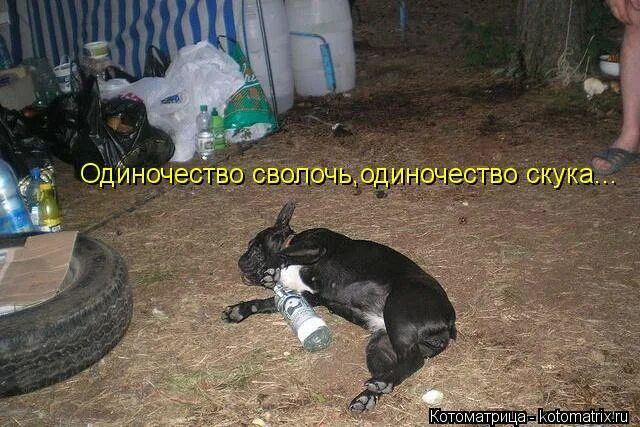 Одиночество сволочь, одиночество скука...