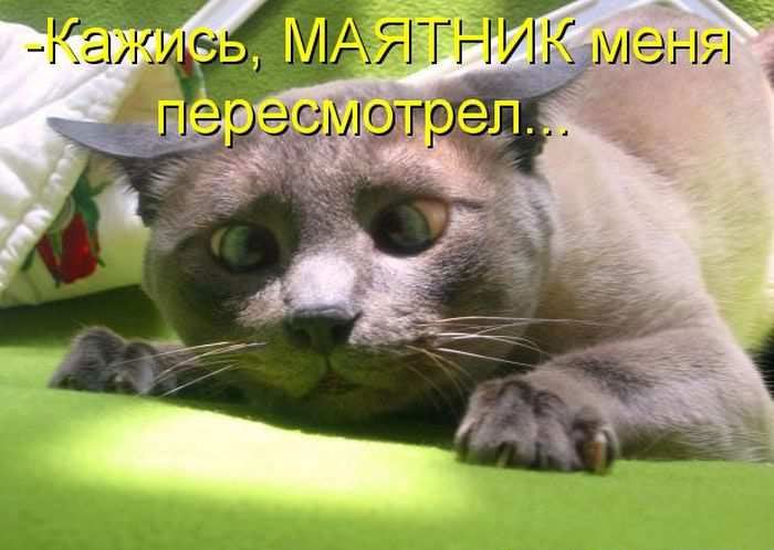 -Кажись, МАЯТНИК меня пересмотрел...
