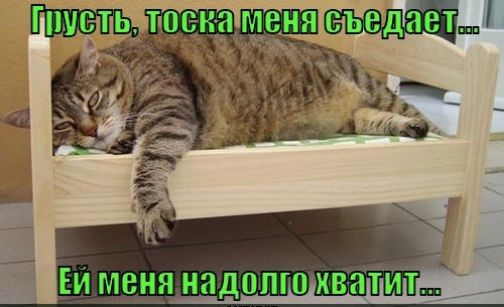 Грусть, тоска меня съедает ... Ей меня надолго хватит ...
