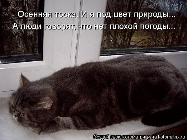 Осенняя тоска. И я под цвет природы... А люди говорят, что нет плохой погоды...