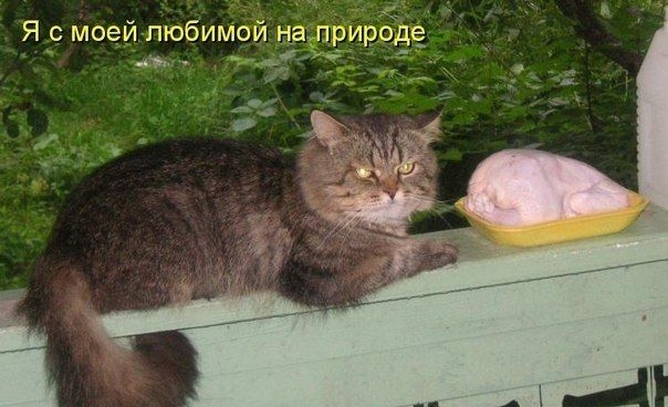 Я с моей любимой на природе