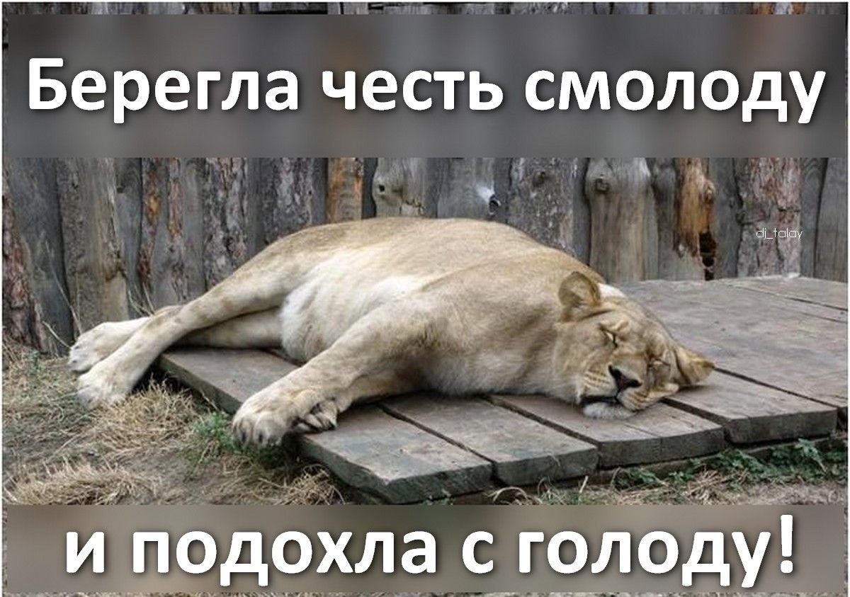 Берегла честь смолоду и подошла с голоду!