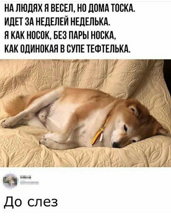 НА ЛЮДЯХ Я ВЕСЕЛ, НО ДОМА ТОСКА. ИДЁТ ЗА НЕДЕЛЯМИ НЕДЕЛЬКА. Я КАК НОСОК, БЕЗ ПАРЫ НОСКА, КАК ОДИНОКАЯ В СУПЕ ТЕФТЬЛЬКА.
До слез