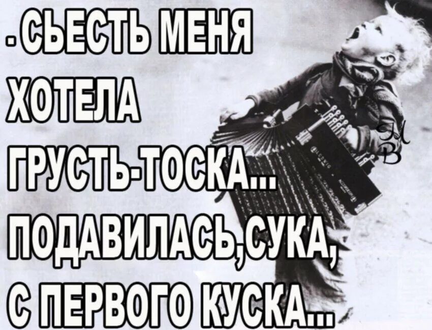 СЪЕСТЬ МЕНЯ ХОТЕЛА ГРУСТЬ-ТОСКА... ПОДАВИЛАСЬ, СУКА, С ПЕРВОГО КУСА...