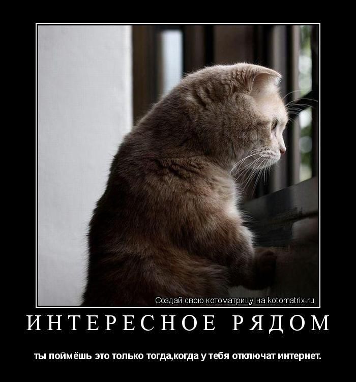 ИНТЕРЕСНОЕ РЯДОМ
ты поймёшь это только тогда, когда у тебя отключат интернет.