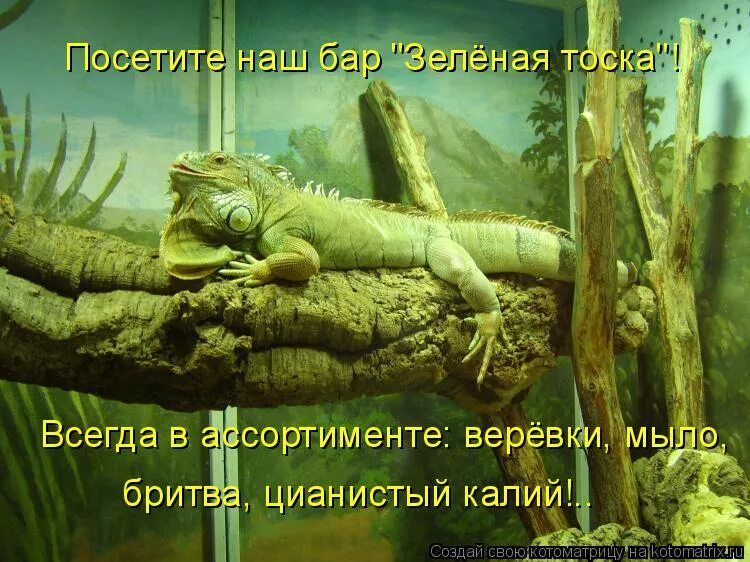 Посетите наш бар 