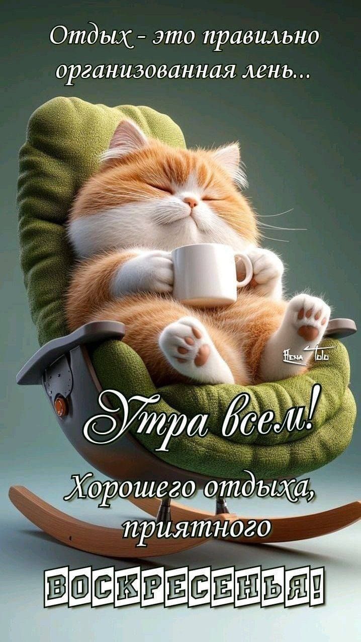 Отдых - это правильно организованная лень... Утра всем! Хорошего отдыха, приятного Воскресенья!