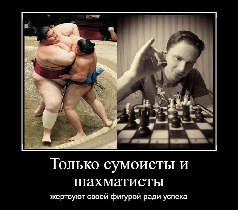 Только сумоисты и шахматисты жертвуются своей фигурой ради успеха