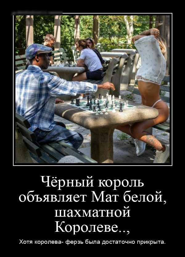 Чёрный король объявляет Мат белой, шахматной Королеве... Хотя королева-ферзь была достаточно прикрыта.