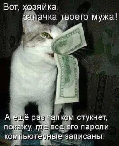 Вот, хозяйка, заанчка твоего мужа! А ещё раз так ткнёт, покажу, где все его пароли компьютерные записаны!