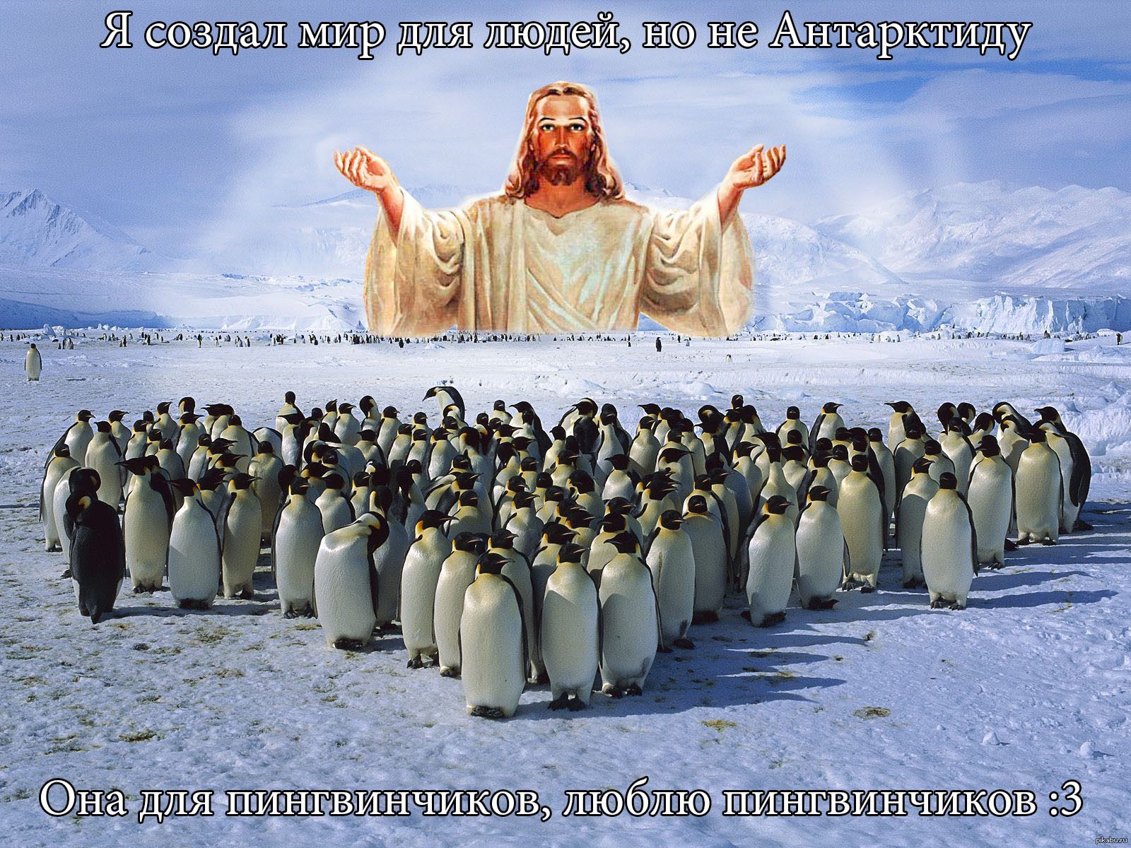 Я создал мир для людей, но не Антарктиду
Она для пингвинчиков, любит пингвинчиков :3