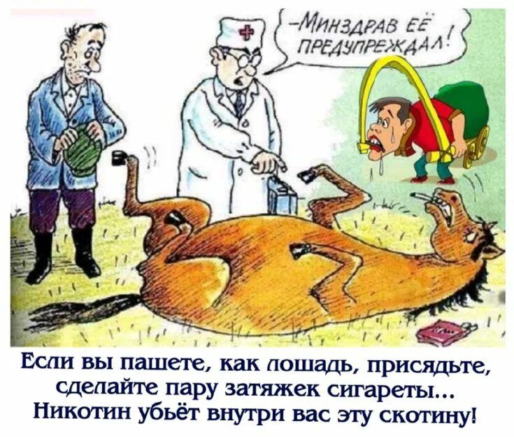 -Минздрав её предупреждал! Если вы пашете, как лошадь, присядьте, сделайте пару затяжек сигареты... Никотин убьёт внутри вас эту скотину!