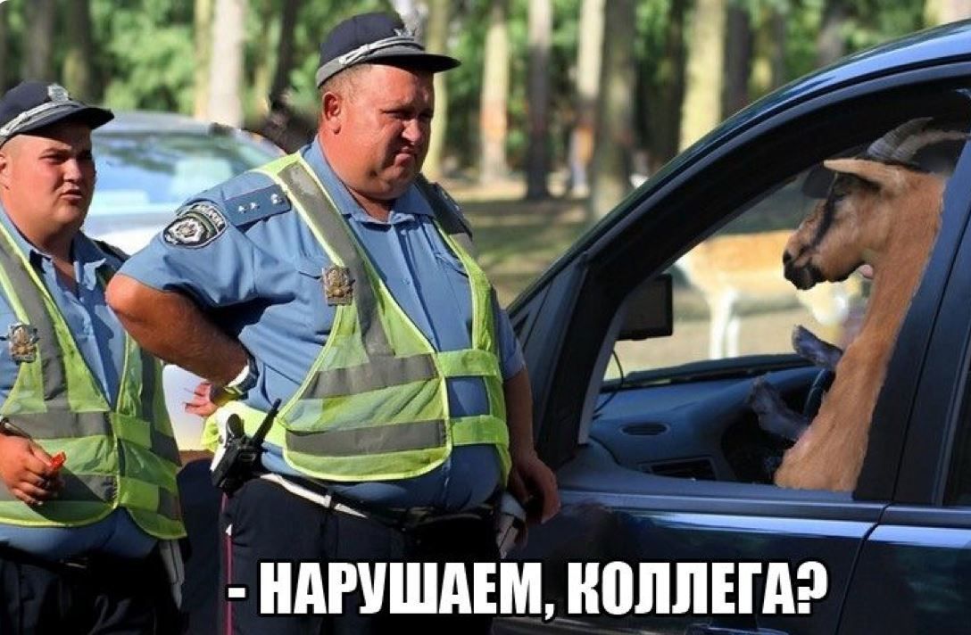 - НАРУШАЕМ, КОЛЛЕГА?