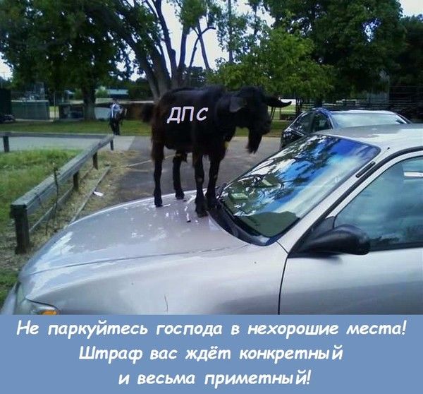 Не паркуйтесь господа в нехорошие места! Штраф вас ждёт конкретный и весьма приметный!